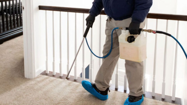 professional-carpet-steam-cleaninghydroclean