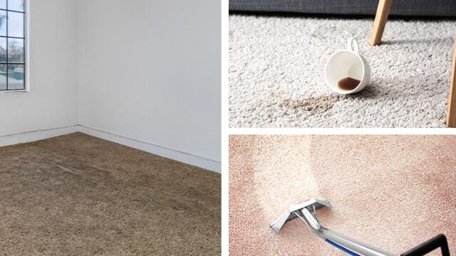 collage-of-different-carpet-cleaning-methods